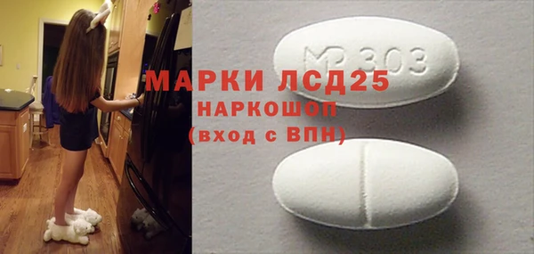 прущие грибы Алексеевка