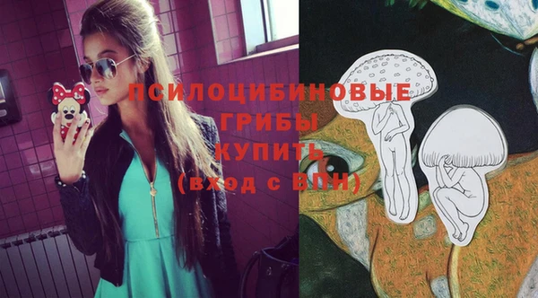 прущие грибы Алексеевка